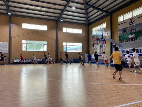 2020年度豐臺區(qū)青少年各項目運動隊暑期集訓工作圓滿完成